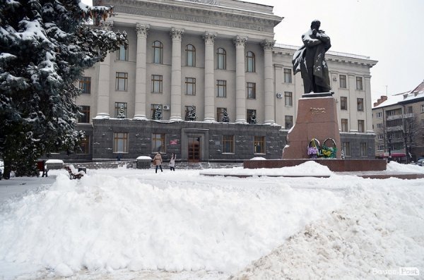 Волинський губернатор знайшов у Луцьку хвойний ліс