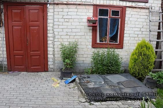 Житель Ковеля вдома вирощував канабіс. ФОТО