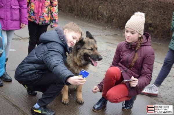 Луцькі гімназисти зібрали кошти для службових собак. ФОТО