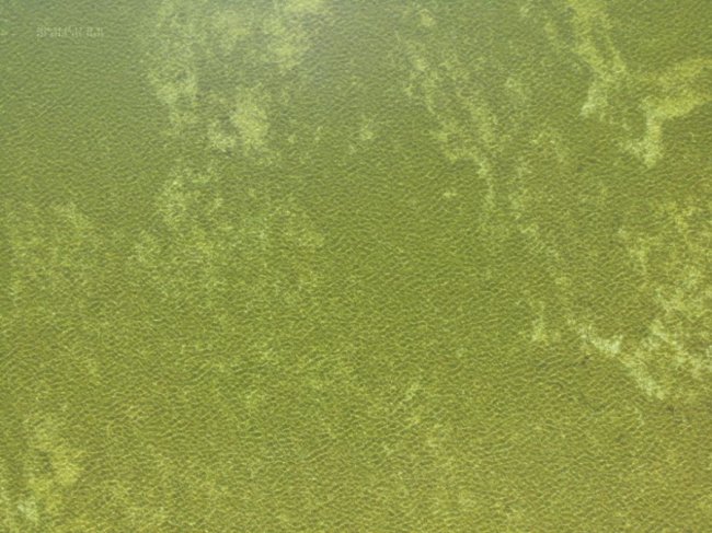 Захопливі краєвиди безлюдного Світязю з висоти пташиного польоту. ФОТО