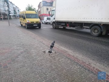 У місті на Волині автомобіль зніс електроопору. ВІДЕО