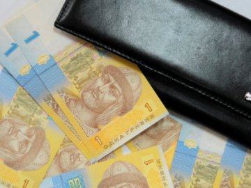 У соцвиплатах на Волині виявили порушень на понад мільйон