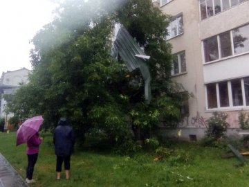 Зірваний дах, пошкоджені ЛЕП, повалені дерева: у Луцьку ліквідовують наслідки негоди. ВІДЕО