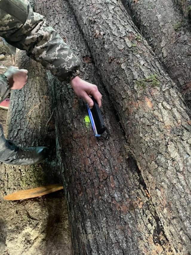 На Волині під час обшуків вилучили незаконний ліс на 800 тисяч гривень. ФОТО