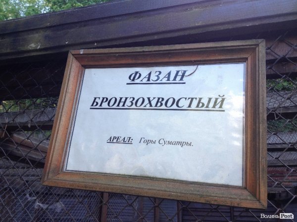 На вихідні -  у «Межигір'я». ФОТО 