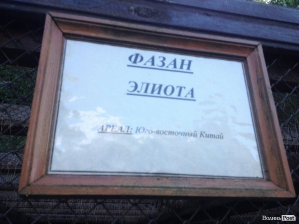 На вихідні -  у «Межигір'я». ФОТО 