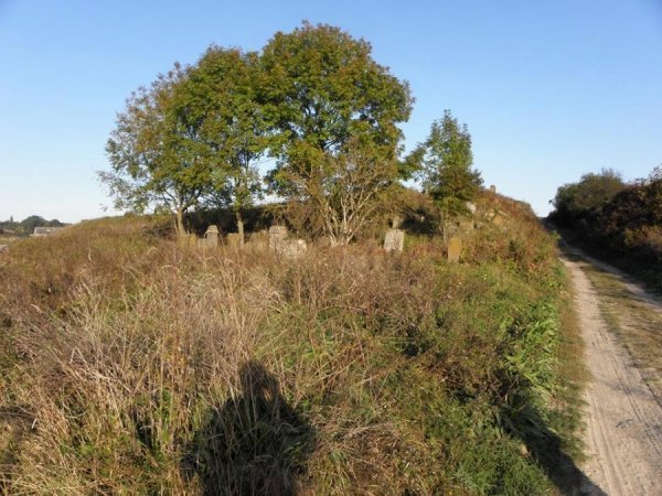 Науковці думають, як зберегти кладовища історичної Волині