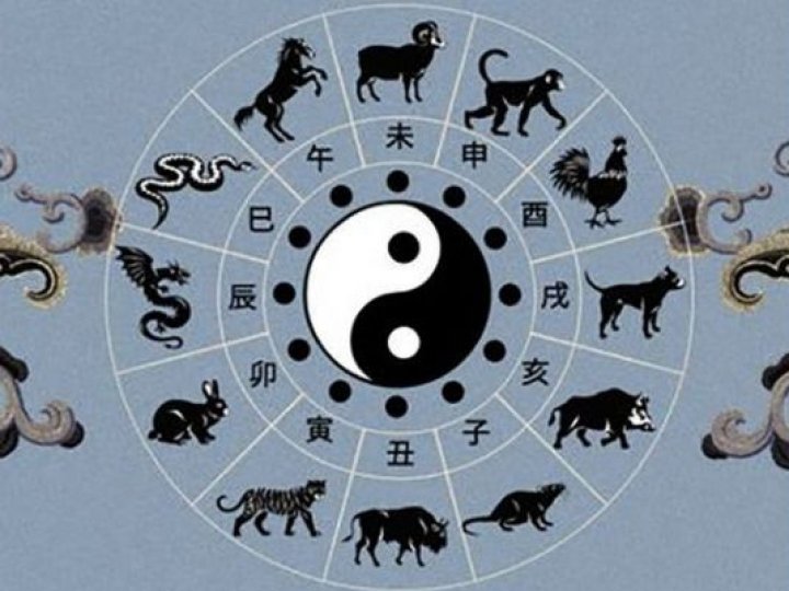 Тварина-покровитель 2026: дізнайтеся, хто символізує прийдешній рік і на що чекати кожному знаку зодіаку