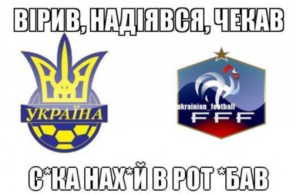 Україна ‒ Франція: фани вірять в збірну і Фоменка. ФОТО