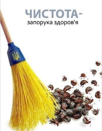 Фотожаби тижня: Путін, Добкін та «колоради»