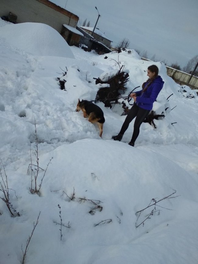 Собаки мають теплі лежаки: на КП «Ласка» пройшов День волонтера. ФОТО