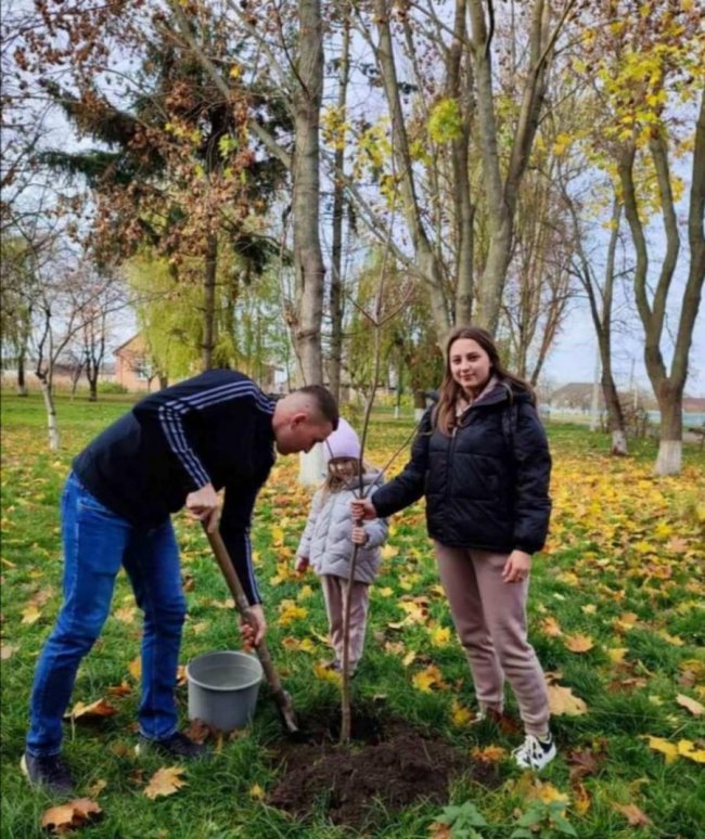 У волинському селі з`явиться алея екзотичних дерев. ФОТО