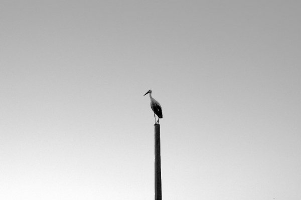 Фотовиставка Анни Лучії Лобос