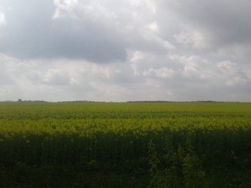 «Гражданка» зробила мене категоричнішим, ніж армія та війна, - волинський «кіборг»