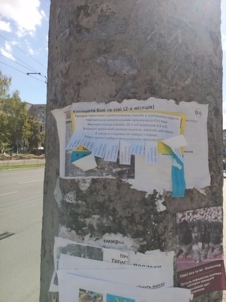 В Луцьку воюють з рекламою на стовпах. ФОТО