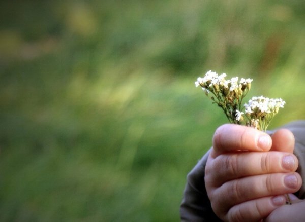 Фотовиставка Катерини Мазурець