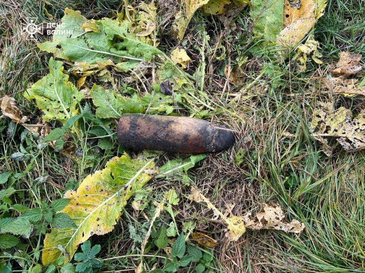 На Волині мешканці під час прибирання території натрапили на вибухонебезпечний предмет