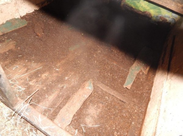 Ведмедів з пересувного звіринця на Рівненщині прихистив «Луцький зоопарк». ФОТО