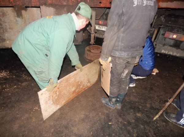 Ведмедів з пересувного звіринця на Рівненщині прихистив «Луцький зоопарк». ФОТО