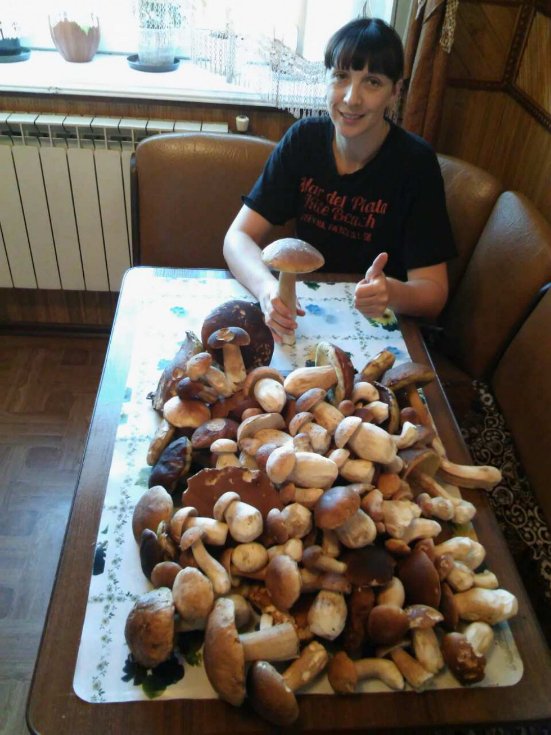 Тихе полювання-2: волиняни хваляться врожаєм грибів у Facebook