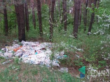 У лісі поблизу Луцька - купи сміття. ФОТО