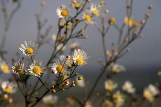 Осінні пейзажі Волинської височини: неймовірні фото