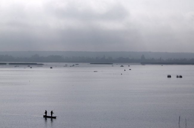 Осінні пейзажі Волинської височини: неймовірні фото