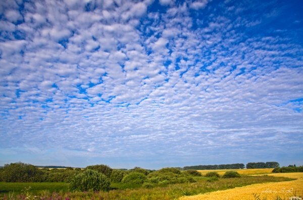 Фотовиставка Сергія Руденка