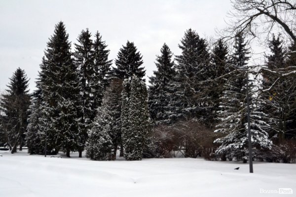 Лютий лютує: фото зими в Луцьку