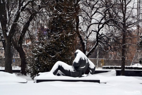 Лютий лютує: фото зими в Луцьку