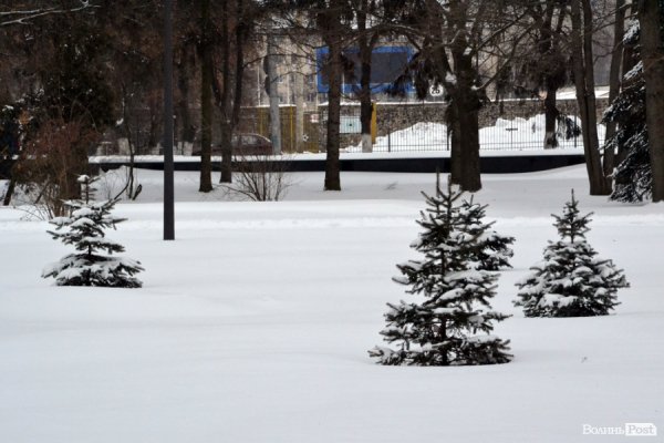Лютий лютує: фото зими в Луцьку