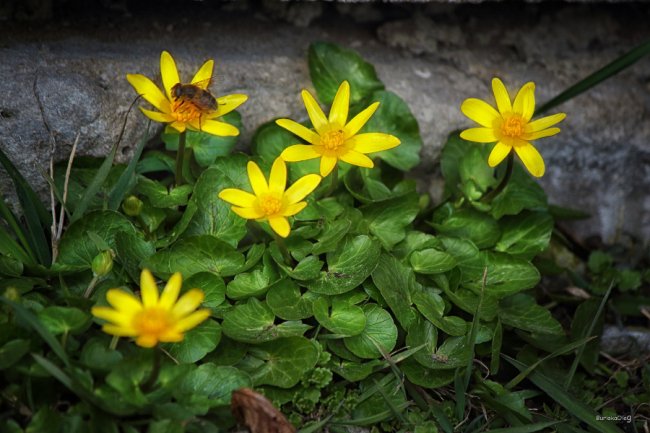 Неймовірні світлини березневого луцького парку.  ФОТО