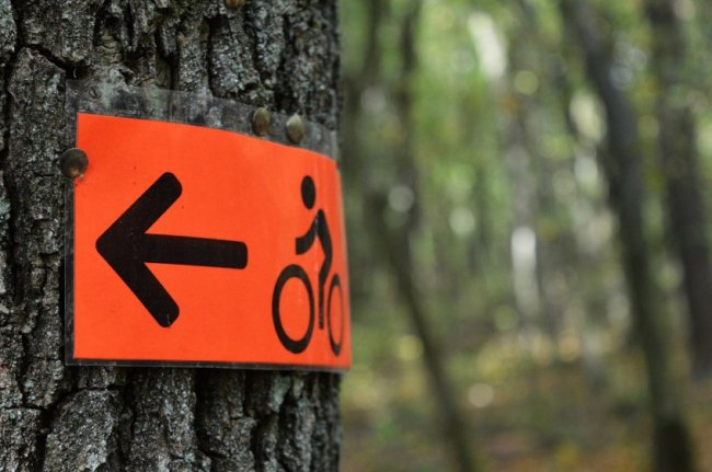 «Струмівські хащі»: поблизу Луцька відбулись екстримальні велоперегони. ФОТО