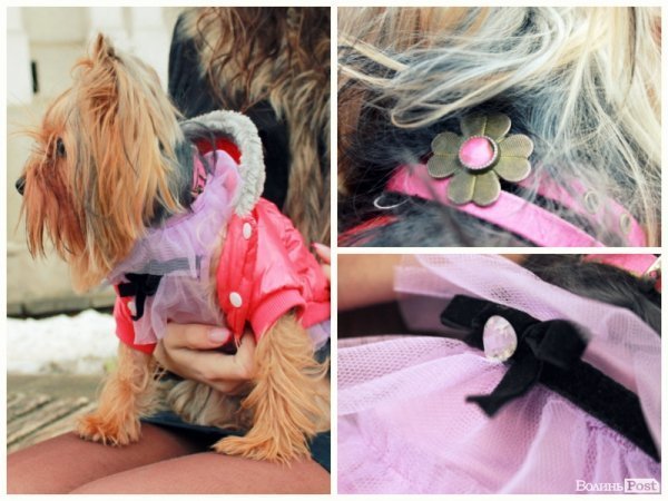 Стильний Луцьк. Портрет дня: Валерія Богач і Буся