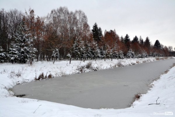 Фото снігового ранку в Луцьку