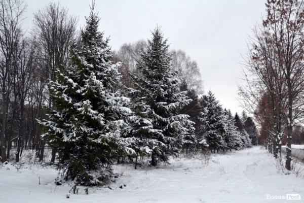 Фото снігового ранку в Луцьку