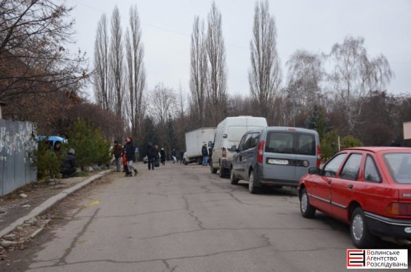 Ялинковий бізнес по-луцьки: ціни, дозволи, чіпи