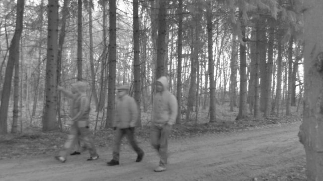 На Волині знайшли порушників, які незаконно вирубували ліс