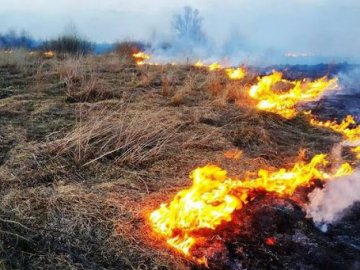 Прокуратура Волині розслідує 7 фактів умисного підпалу сухої трави