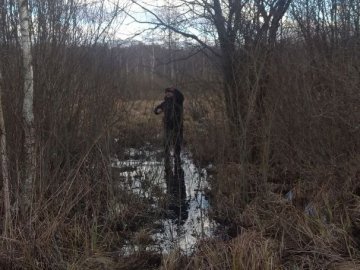 У пошуках зниклої дівчини на Волині прочесали вже 15 км лісу