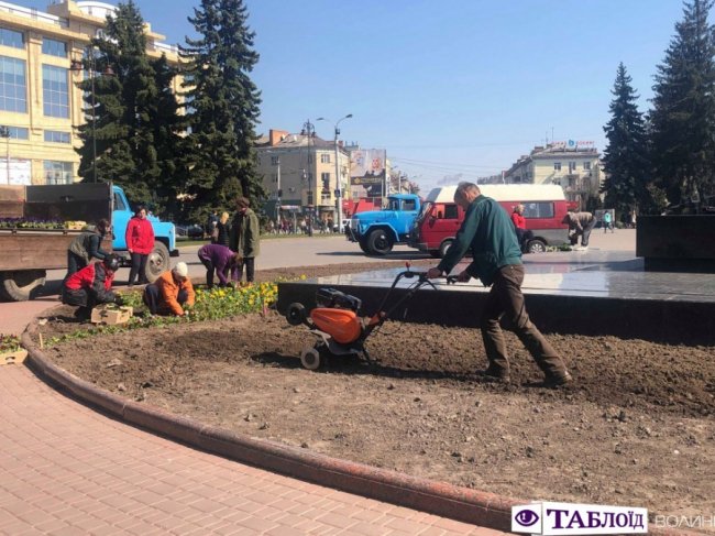 У центрі Луцька почали висаджувати квіти. ФОТО