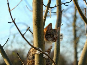 3 лютого – яке сьогодні свято і що не можна робити в цей день