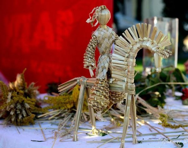 Волинський «УДАР» організував патріотичну акцію. ФОТО*