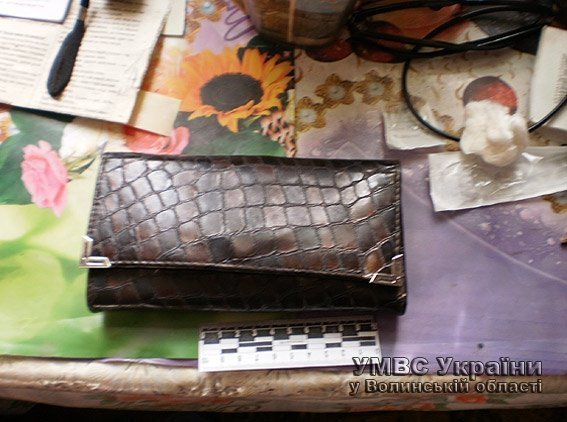 На Волині у пенсіонерки вночі вимагали гроші, погрожуючи ножем. ФОТО