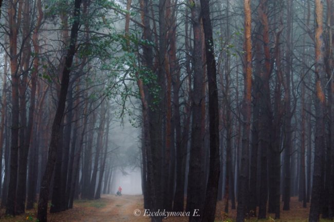 Магічна краса волинського озера, закутаного у туман. ФОТО 