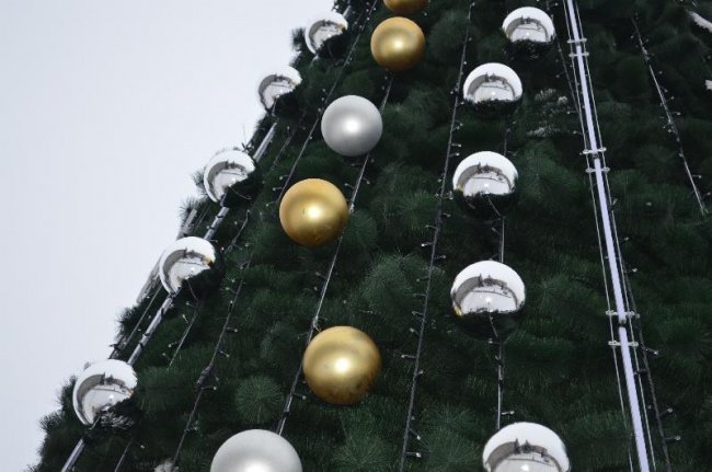 У Ковелі встановили головну ялинку громади. ФОТО