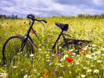 Якою буде погода на Волині та у Луцьку зокрема завтра, 1 серпня