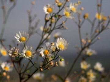 Осінні пейзажі Волинської височини: неймовірні фото