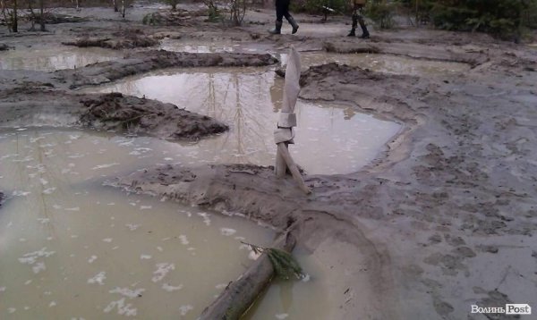 На Волині чергова навала бурштинокопачів. Тепер у Любешівському районі. ФОТО