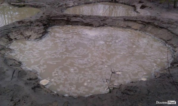 На Волині чергова навала бурштинокопачів. Тепер у Любешівському районі. ФОТО